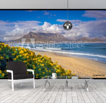 Picture of View of Table Mountain from Milnerton Beach with beautiful yellow flowers Cape Town South Africa 